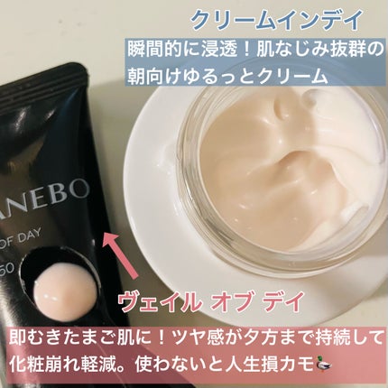 カネボウ クリーム イン ナイト/KANEBO/フェイスクリームを使ったクチコミ(2枚目)