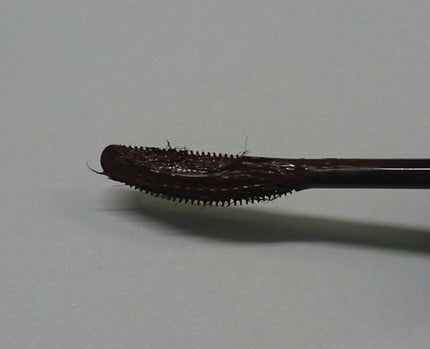 ラッシュエキスパンダー ロングロングロング EX/MAJOLICA MAJORCA/マスカラを使ったクチコミ(3枚目)