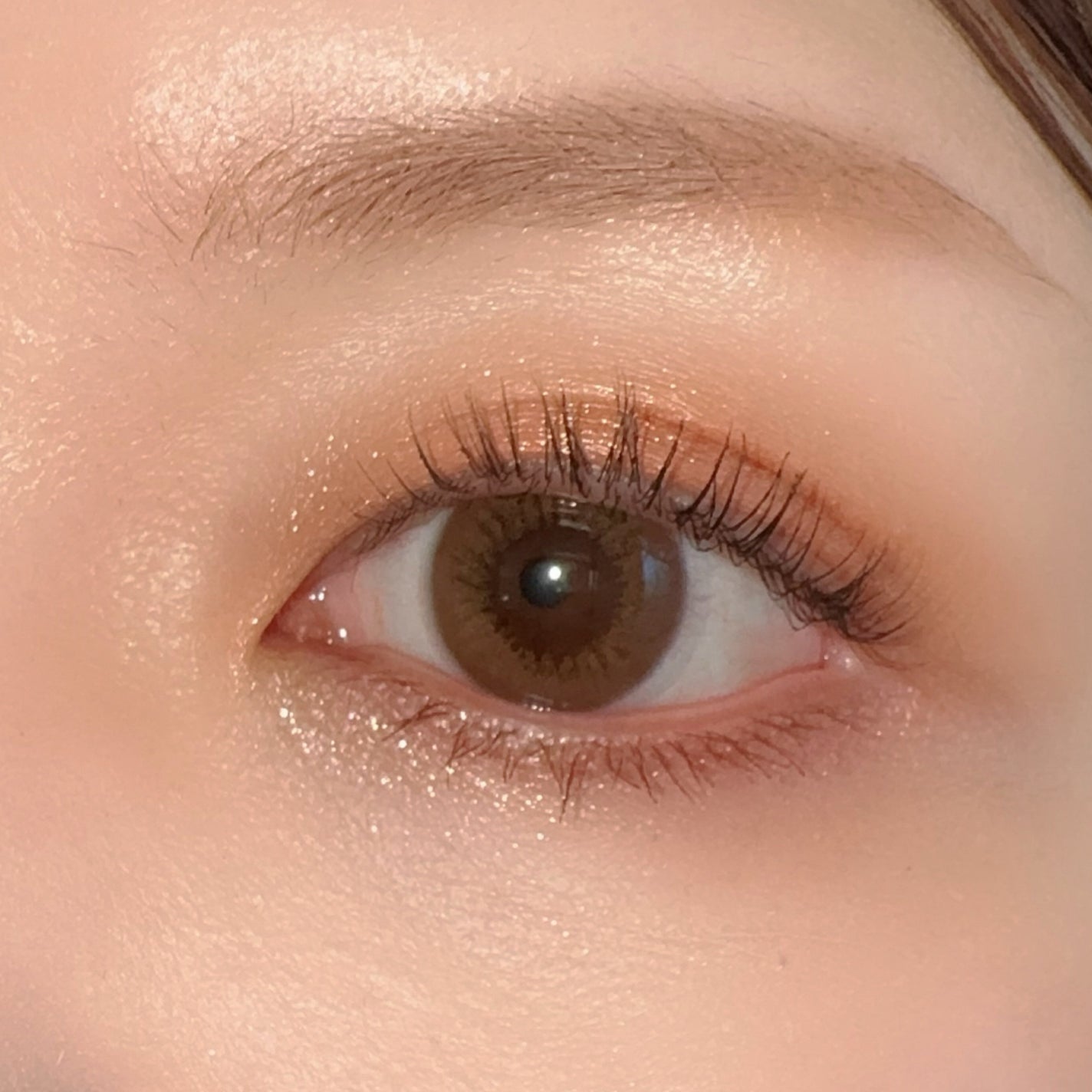 クロマティックス クワッド/shu uemura/アイシャドウパレットを使ったクチコミ(4枚目)