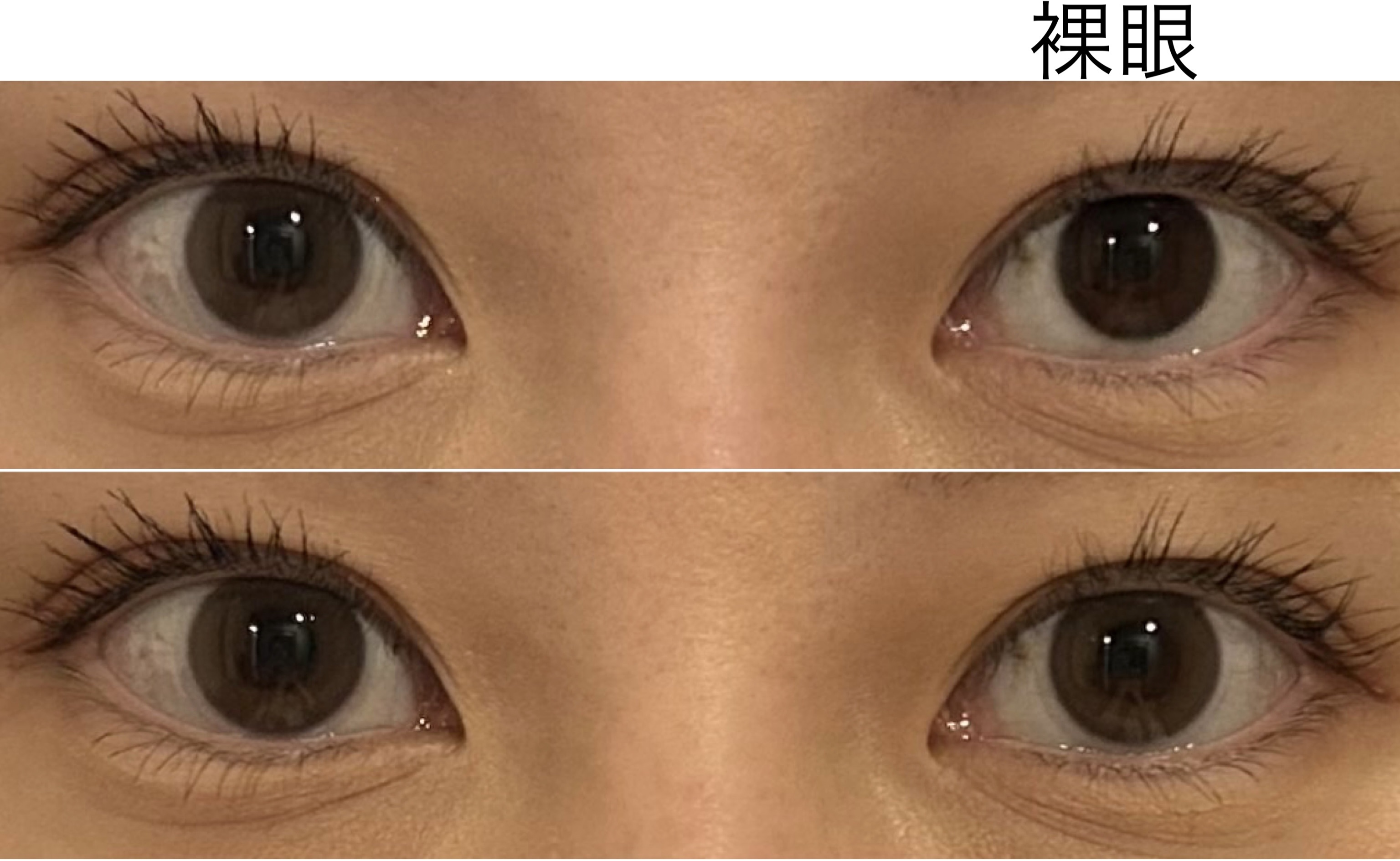 efos 1day デイリーモーヴ/efos/ワンデー（１DAY）カラコンを使ったクチコミ（3枚目）