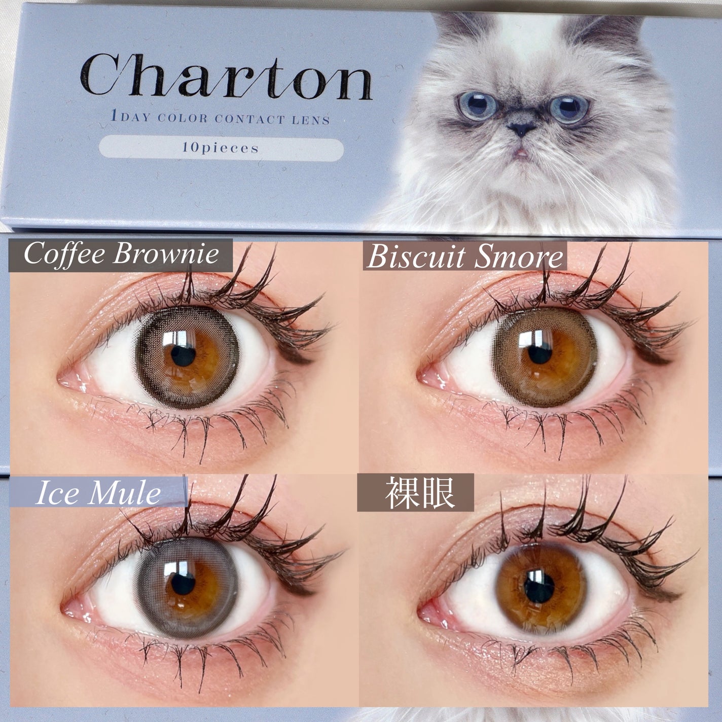 MELANGE 1day/MELANGE BY MAGICCOLOR/ワンデー(1DAY)カラコンを使ったクチコミ(2枚目)