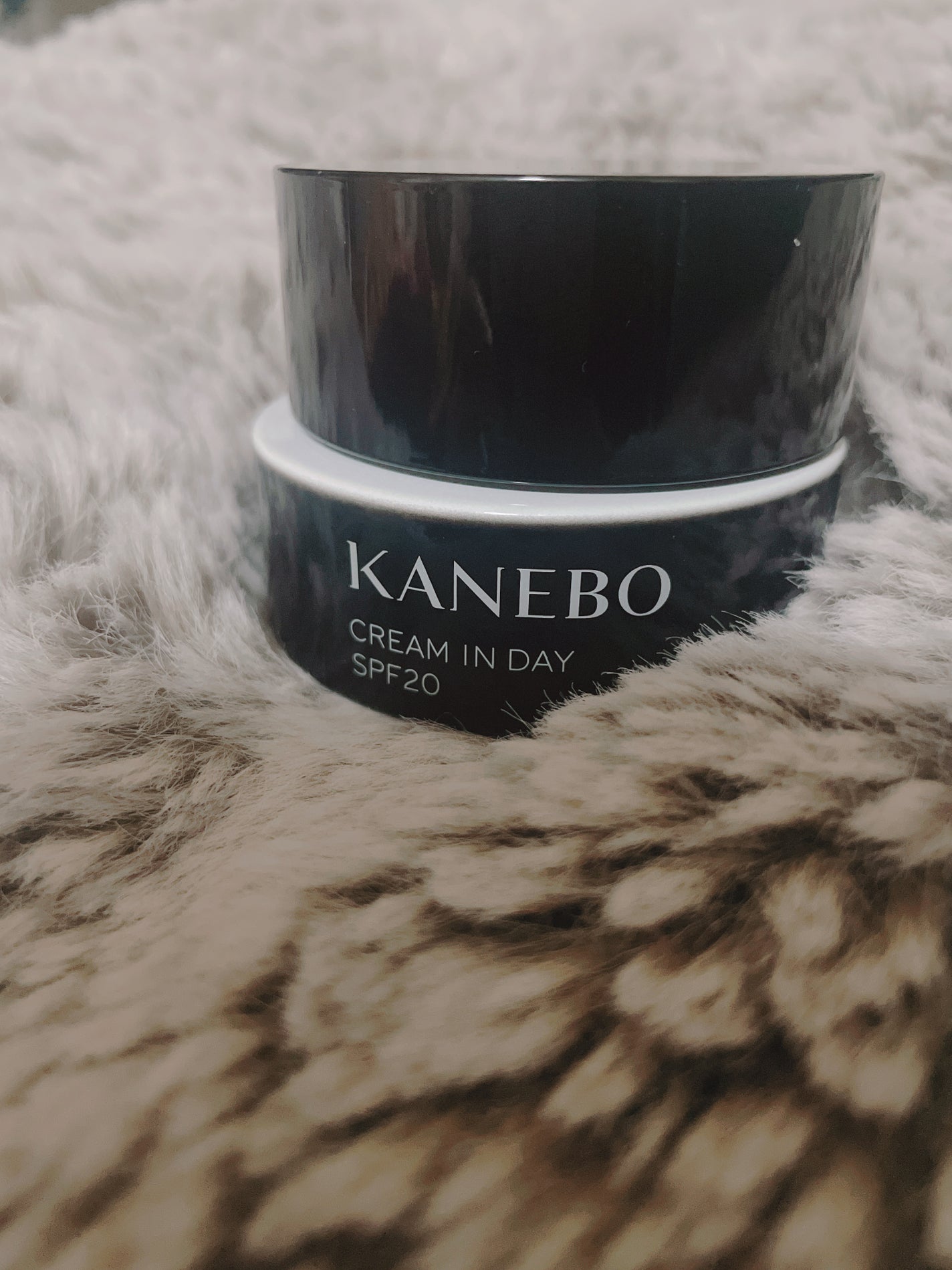 クリーム イン デイ/KANEBO/フェイスクリームを使ったクチコミ(1枚目)