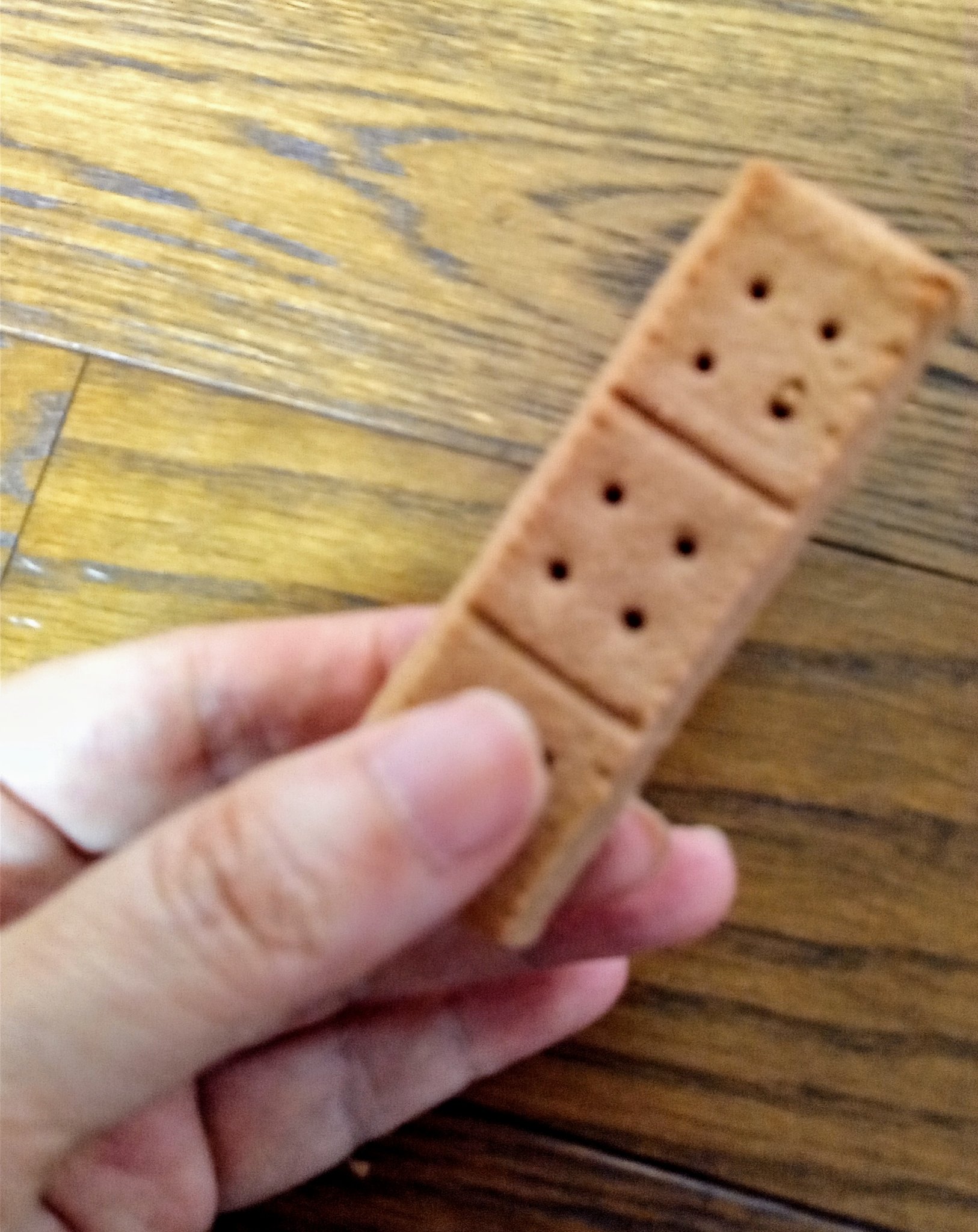 ピップエレキバンMAX200/ピップ/ネック・デコルテケアを使ったクチコミ（2枚目）