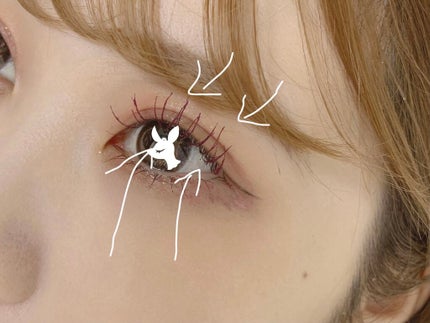 DHCアイラッシュトニック/DHC/まつげ美容液を使ったクチコミ(2枚目)