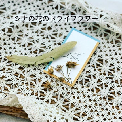 シナの花水/umu/化粧水を使ったクチコミ(5枚目)