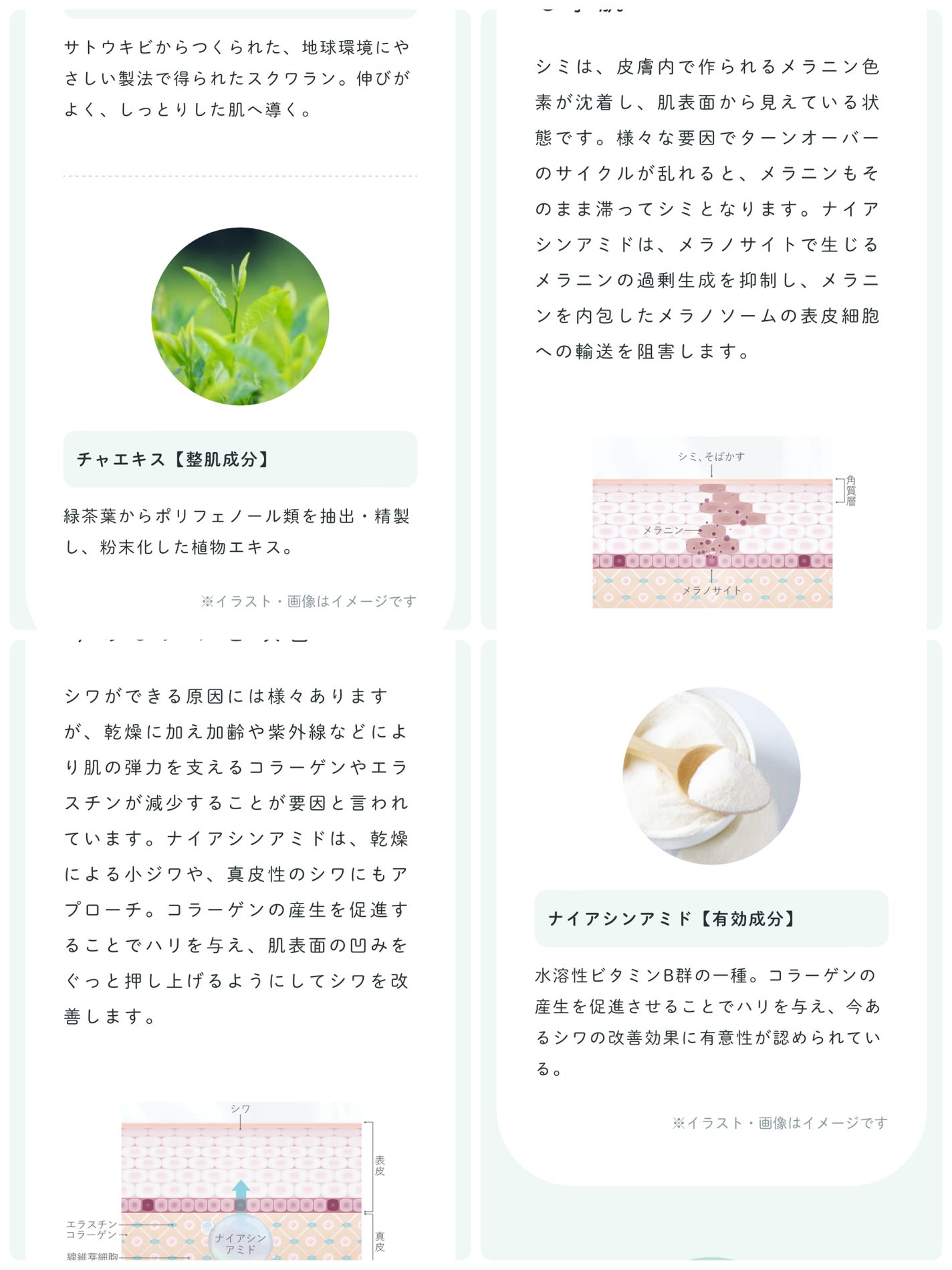 ハンドクリーム NECO/アジュバン/ハンドクリームを使ったクチコミ(6枚目)