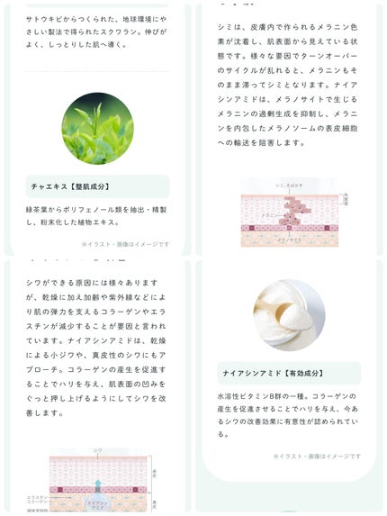 ハンドクリーム NECO/アジュバン/ハンドクリームを使ったクチコミ(6枚目)