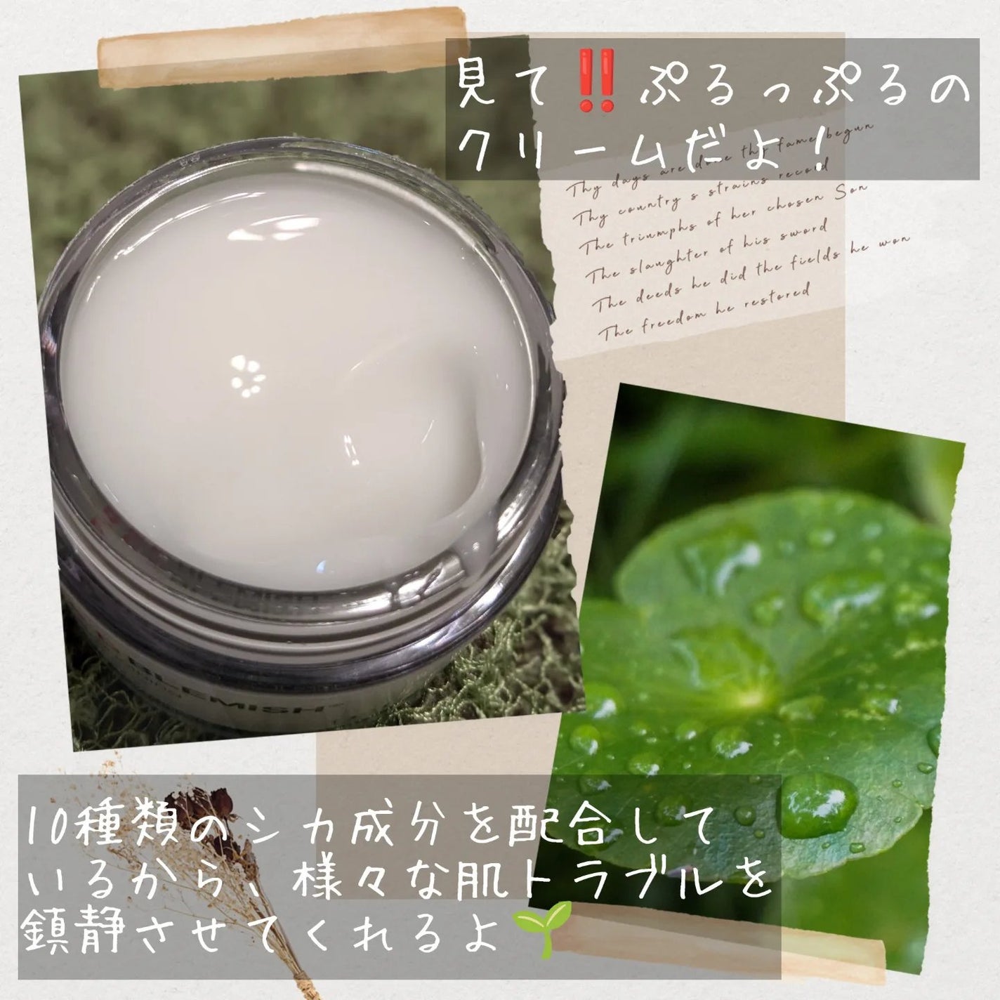 レッドブレミッシュ クリアスージングクリーム/Dr.G/フェイスクリームを使ったクチコミ(3枚目)