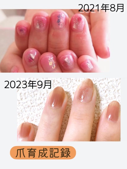 を使ったクチコミ(1枚目)