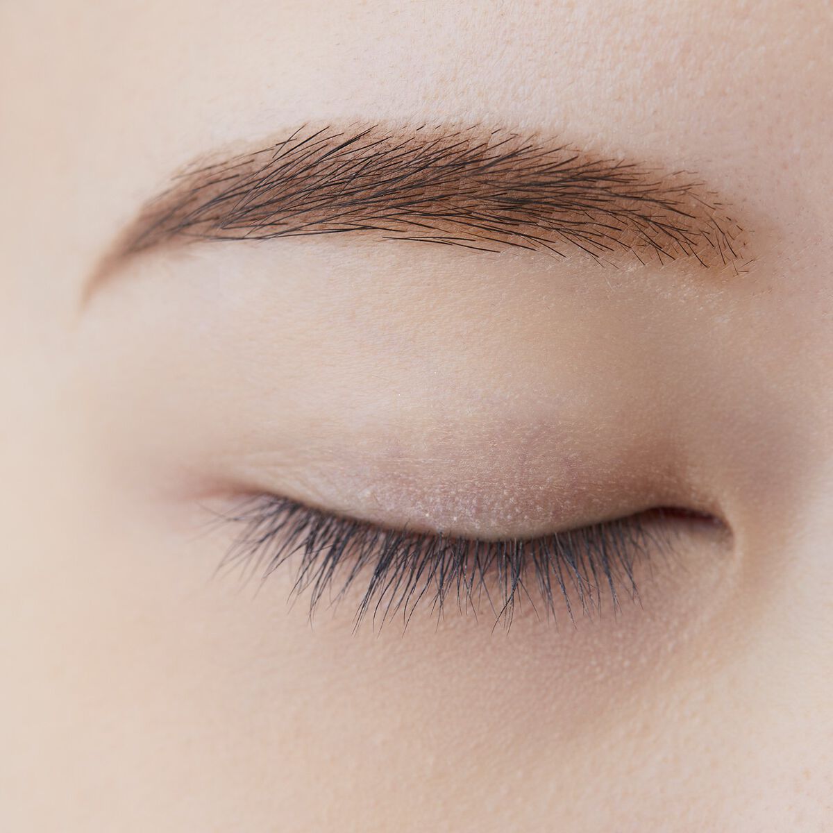 アイブロー パウダー PK10 ピンク系ブラウン