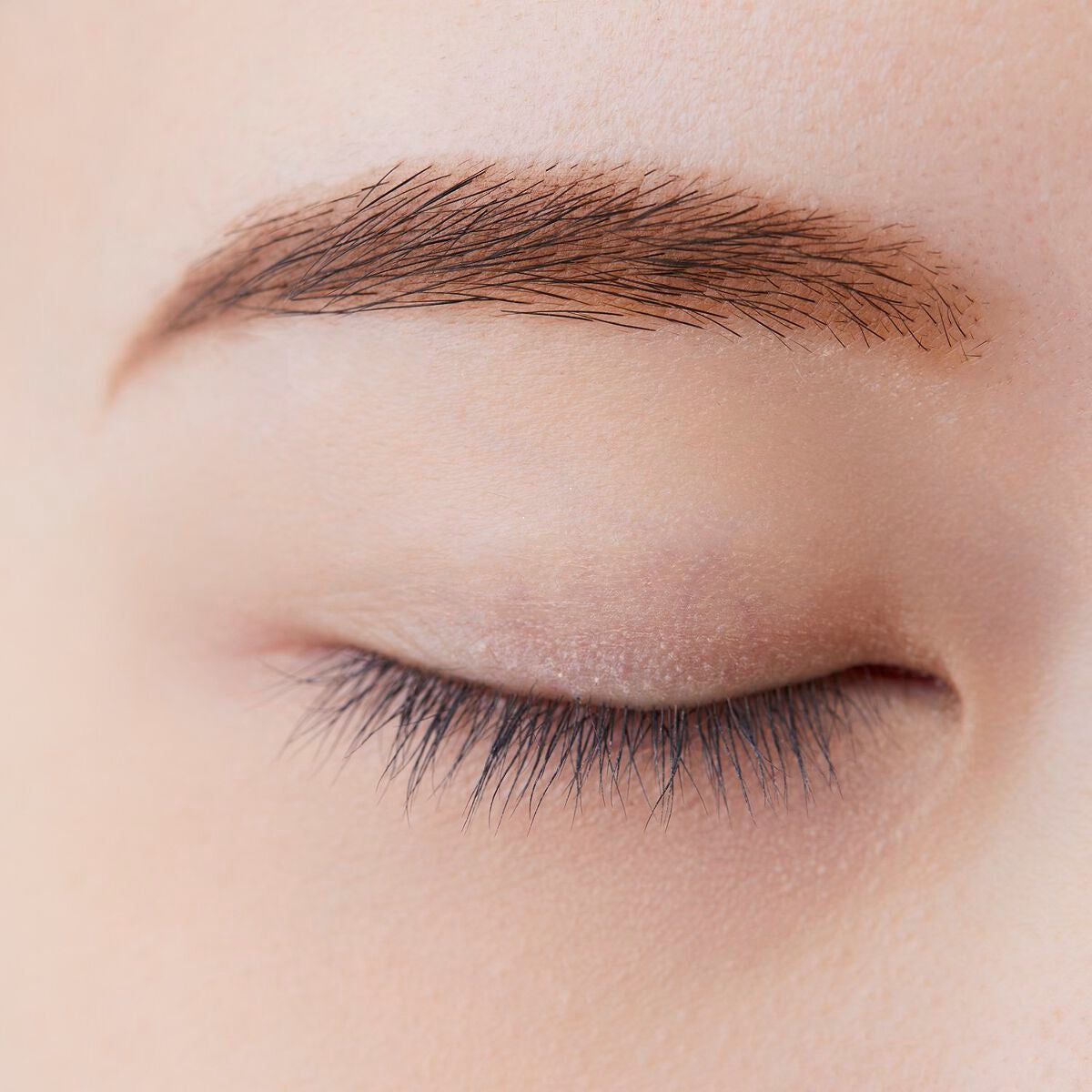 アイブロー パウダー PK10 ピンク系ブラウン