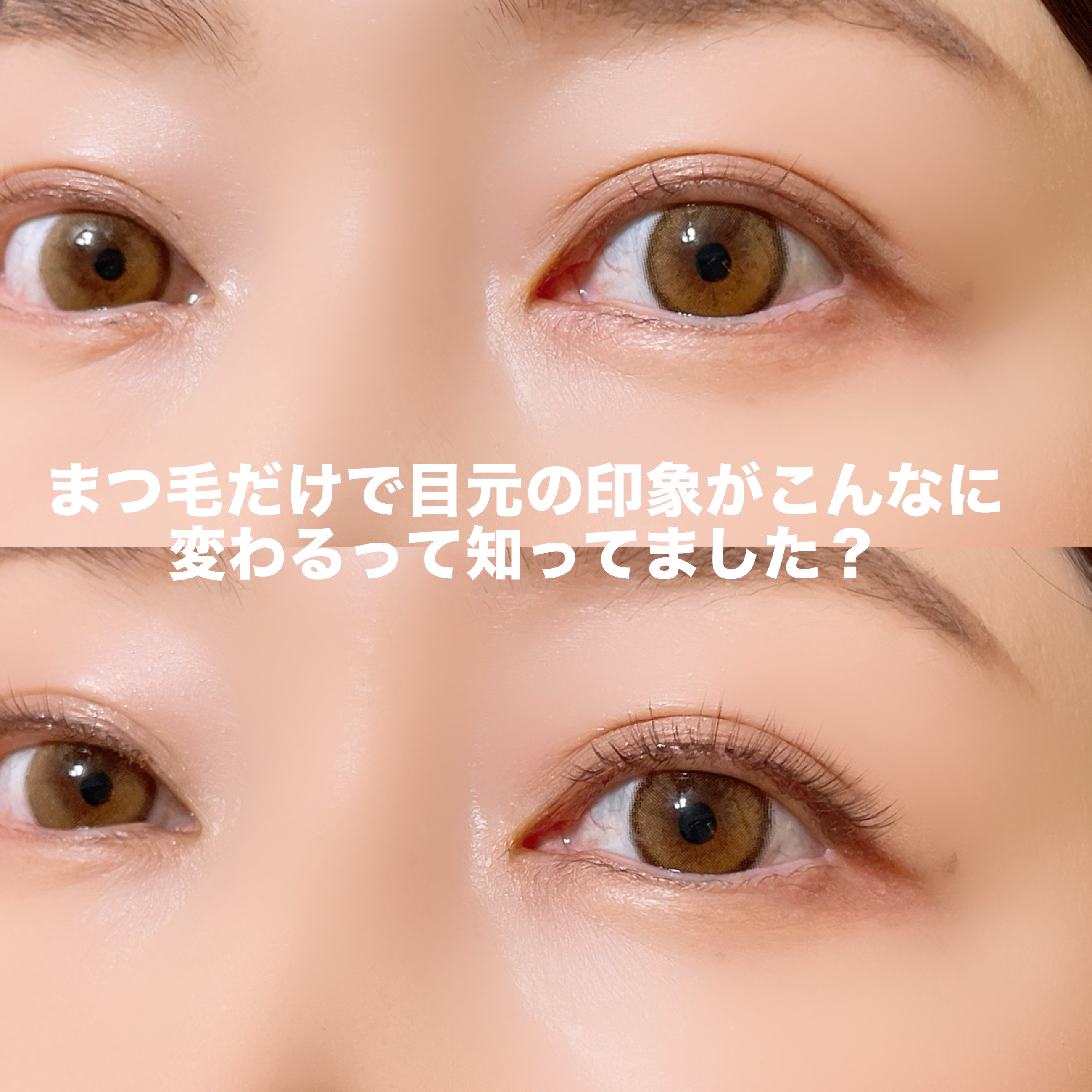 ラッシュオン 04 PURE(ピュア)/D-UP/つけまつげを使ったクチコミ（2枚目）