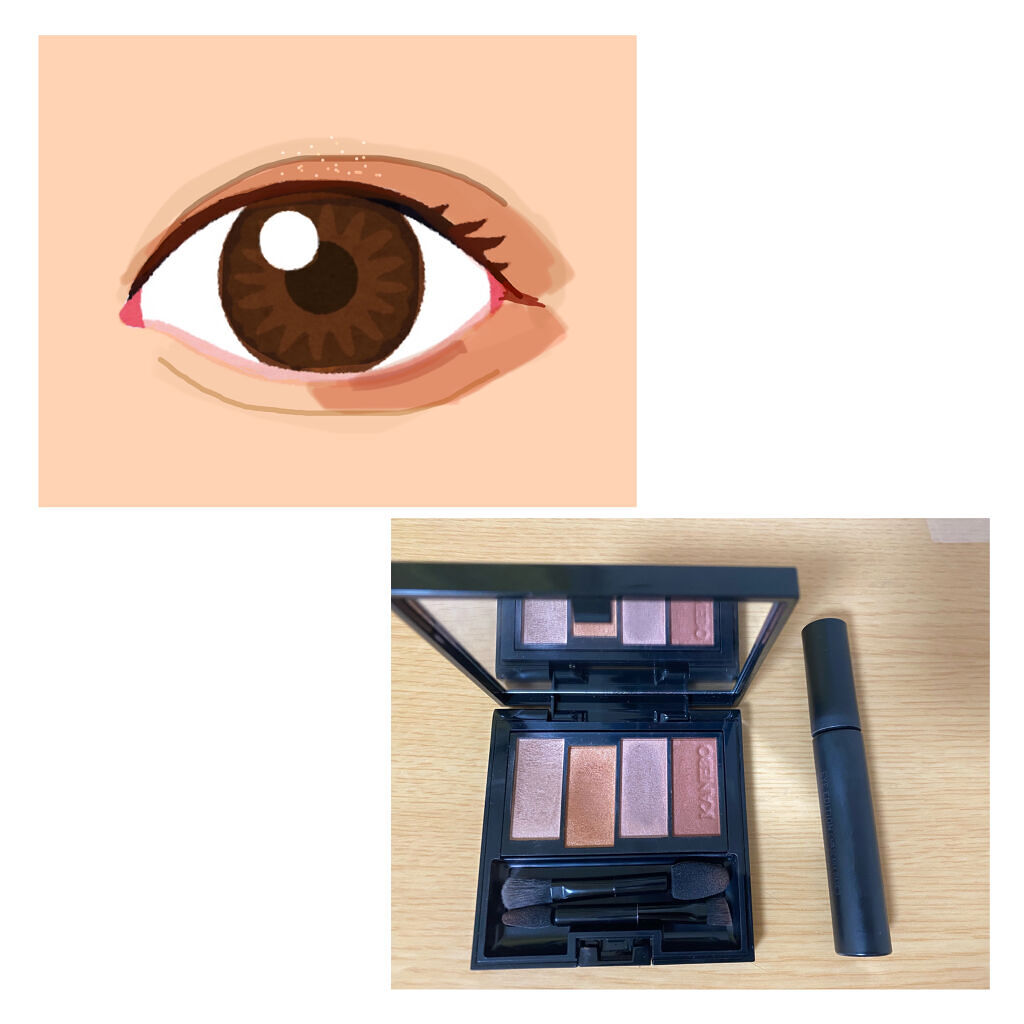 レイヤードカラーズアイシャドウ/KANEBO/アイシャドウパレットを使ったクチコミ（1枚目）