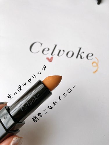 ディグニファイド リップス 29 キャメル/Celvoke/口紅を使ったクチコミ（1枚目）