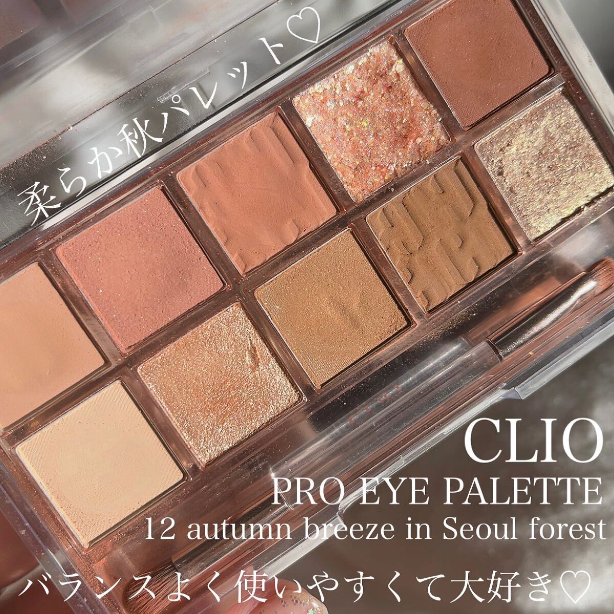 プロ アイ パレット/CLIO/アイシャドウパレットを使ったクチコミ(2枚目)