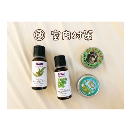 Res-Q Ointment(レスキュー オイントメント )/BURT'S BEES/フェイスクリームを使ったクチコミ(4枚目)