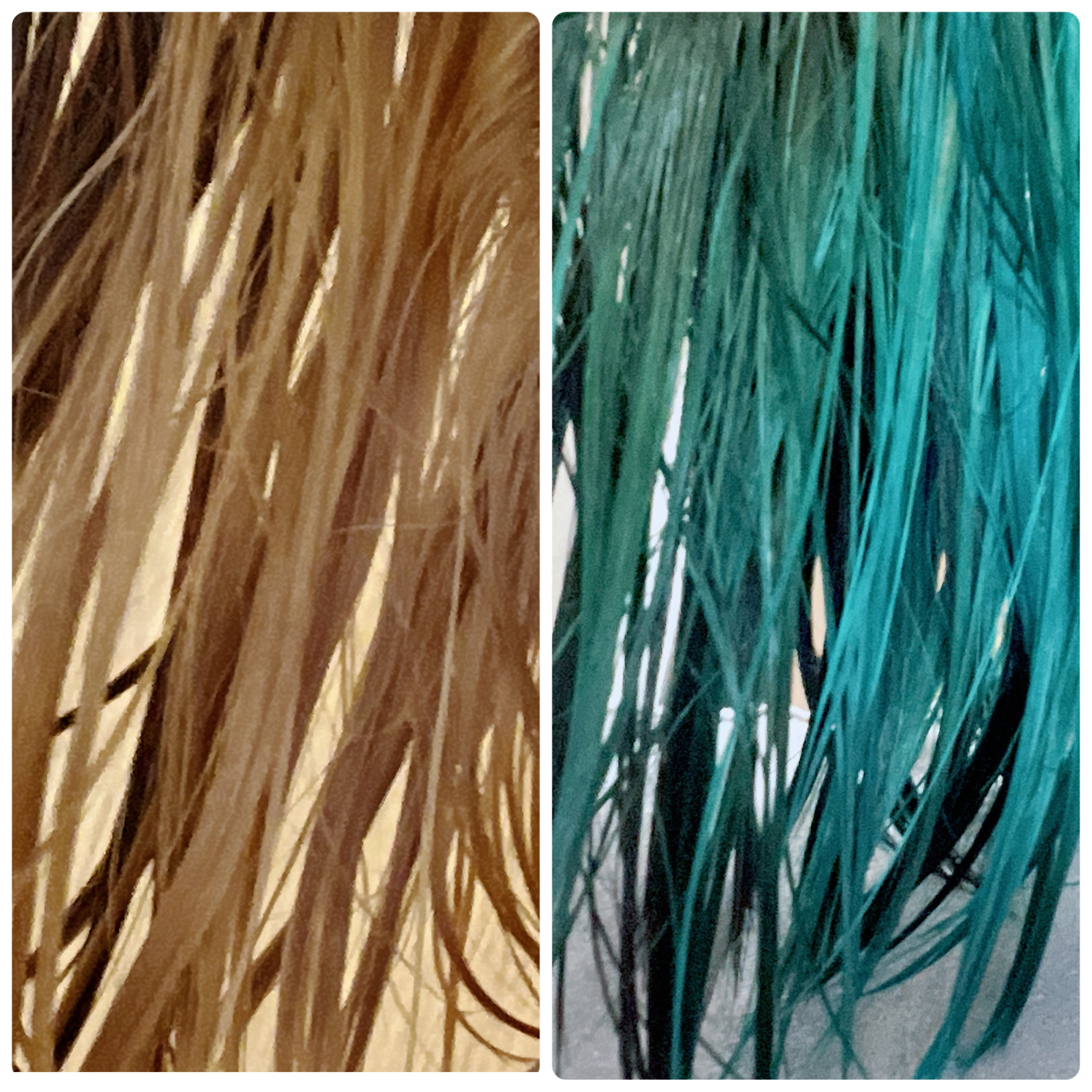 エンシェールズカラーバター オーシャンブルー/エンシェールズ/ヘアカラーを使ったクチコミ（1枚目）