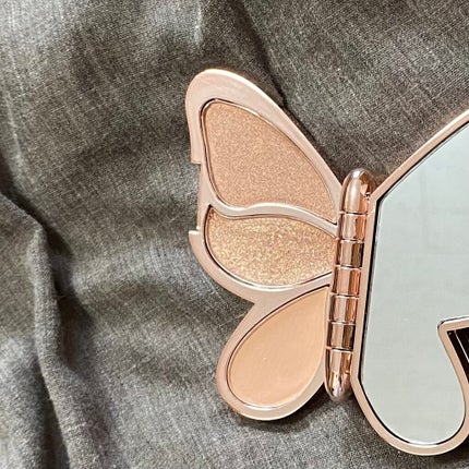 バタフライアイシャドウパレット/AGAG/アイシャドウパレットを使ったクチコミ(3枚目)