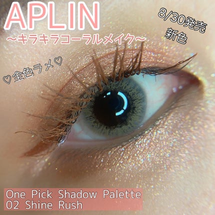 ワンピックアイシャドウパレット/APLIN/アイシャドウパレットを使ったクチコミ(1枚目)