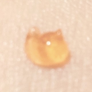 ザ セラム マルチチューン 本品/アスタリフト/美容液を使ったクチコミ（2枚目）