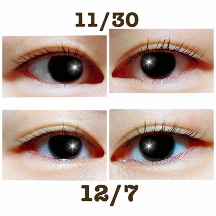 ラッシュジェリードロップ EX/MAJOLICA MAJORCA/まつげ美容液を使ったクチコミ(3枚目)