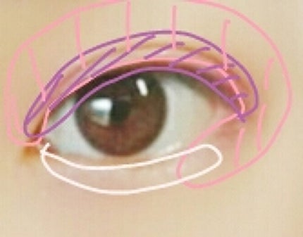 アイニュアンス/キャンメイク/アイシャドウパレットを使ったクチコミ(2枚目)