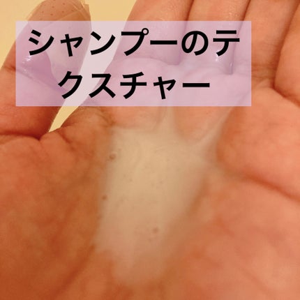 ブリーチケアマスター シャンプー/トリートメント/スティーブンノル ニューヨーク/市販シャンプーを使ったクチコミ(2枚目)