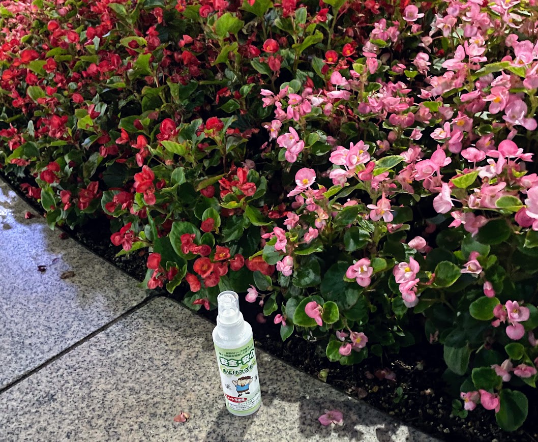 虫よけスプレー/無添加工房 OKADA/その他を使ったクチコミ（3枚目）