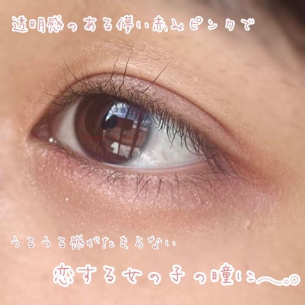 シルキースフレアイズ/キャンメイク/アイシャドウパレットを使ったクチコミ(2枚目)