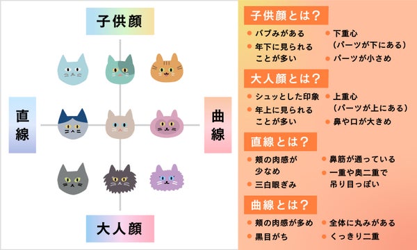 【渡辺樹里さん完全監修】写真撮影だけで自分の"顔"がもっとわかる!「顔スタイル診断」登場の画像