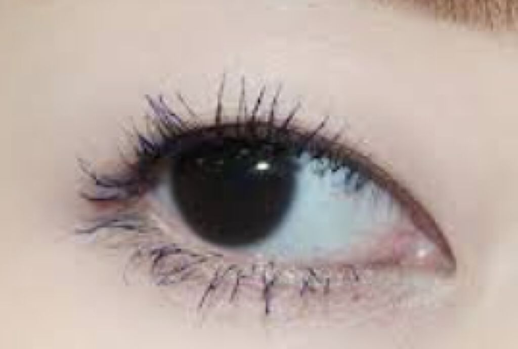 EYE OPENING LINER/UZU BY FLOWFUSHI/リキッドアイライナーを使ったクチコミ（1枚目）