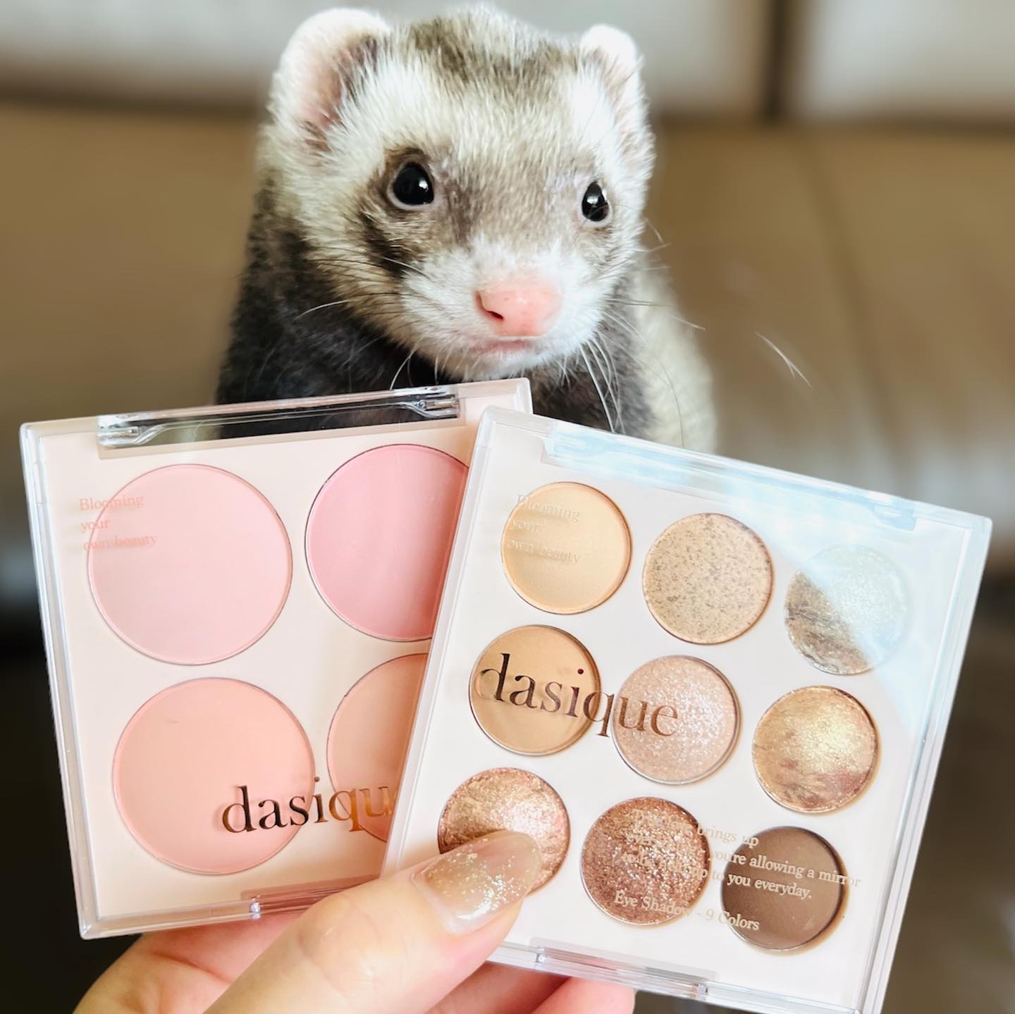 シャドウパレット/dasique/アイシャドウパレットを使ったクチコミ（1枚目）