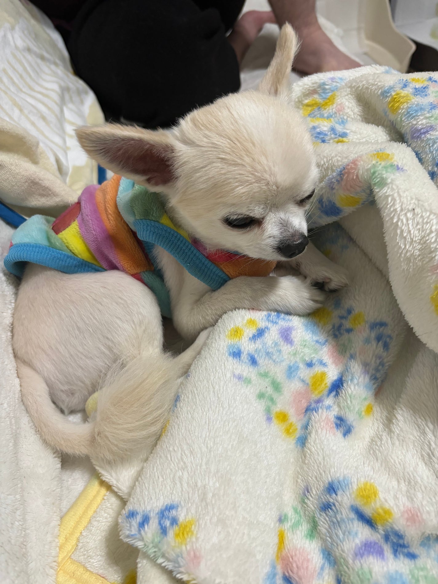 ボディミスト/NEWJOURNEY/香水(その他)を使ったクチコミ(4枚目)