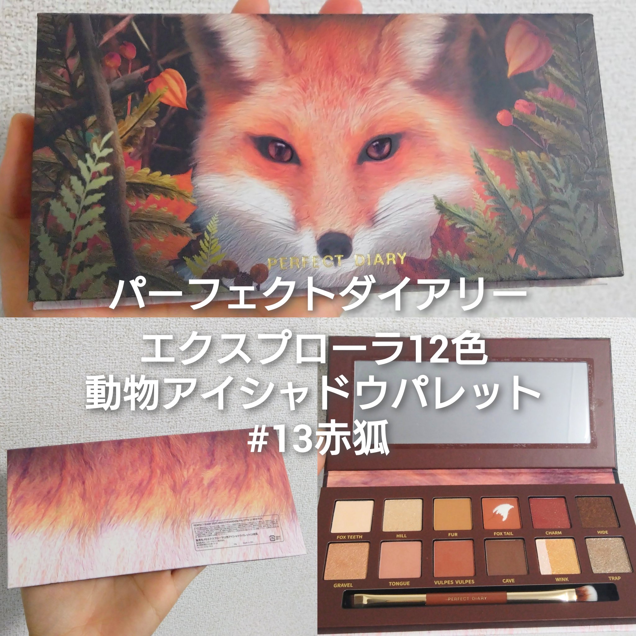 エクスプローラ12色 動物アイシャドウパレット/PERFECT DIARY/アイシャドウパレットを使ったクチコミ（2枚目）