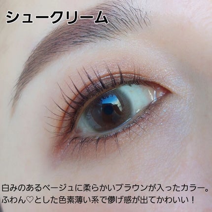 アイクローゼット(eye closet)ワンデー 14.2mm(1箱10枚入り)/EYE CLOSET/ワンデー(1DAY)カラコンを使ったクチコミ(2枚目)