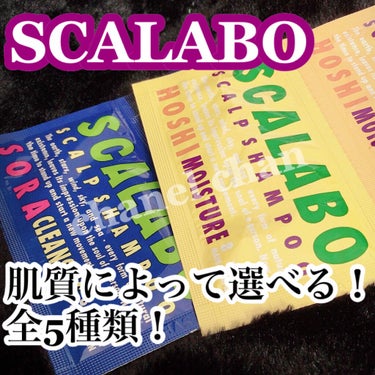 薬用スカルプシャンプーHOSHI/SCALABO/シャンプー・コンディショナーを使ったクチコミ（1枚目）