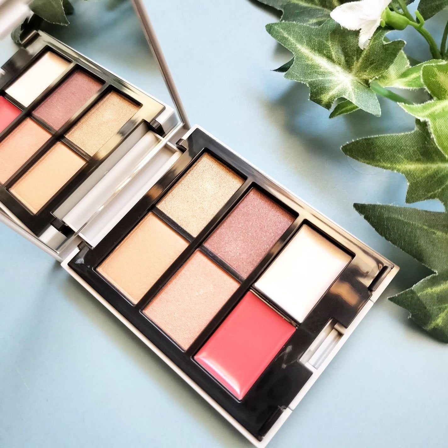 MY MIXED PALETTE 6色カスタムパレット/MN/マルチパレットを使ったクチコミ(2枚目)