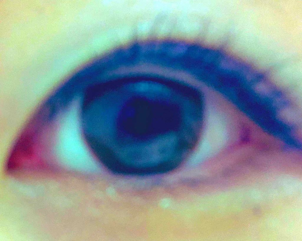 コンパクト アディクション シノワズリ/ADDICTION/アイシャドウパレットを使ったクチコミ（2枚目）