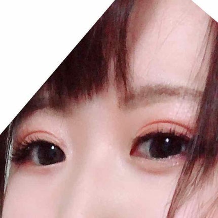 ホワイトシェイピングパレット/KATE/プレストパウダーを使ったクチコミ(1枚目)