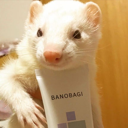 ミルクシスルリペアシカサンスクリーンプラス/BANOBAGI/日焼け止めミルクを使ったクチコミ(1枚目)