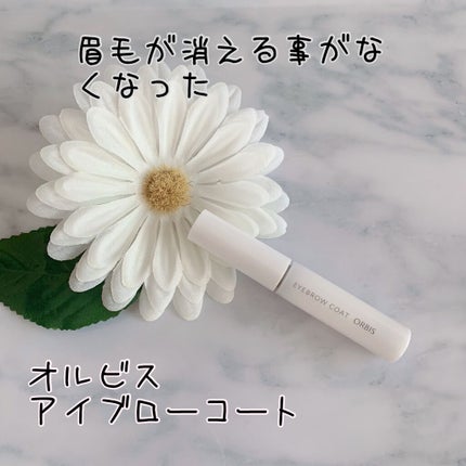 アイブローコート/オルビス/アイブロウコートを使ったクチコミ(1枚目)