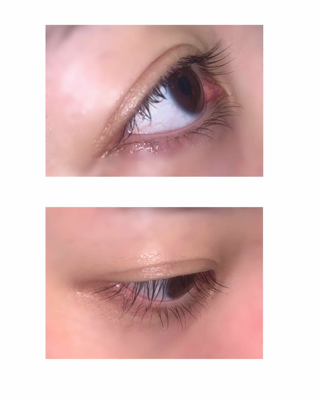 ラッシュジェリードロップ EX/MAJOLICA MAJORCA/まつげ美容液を使ったクチコミ(3枚目)