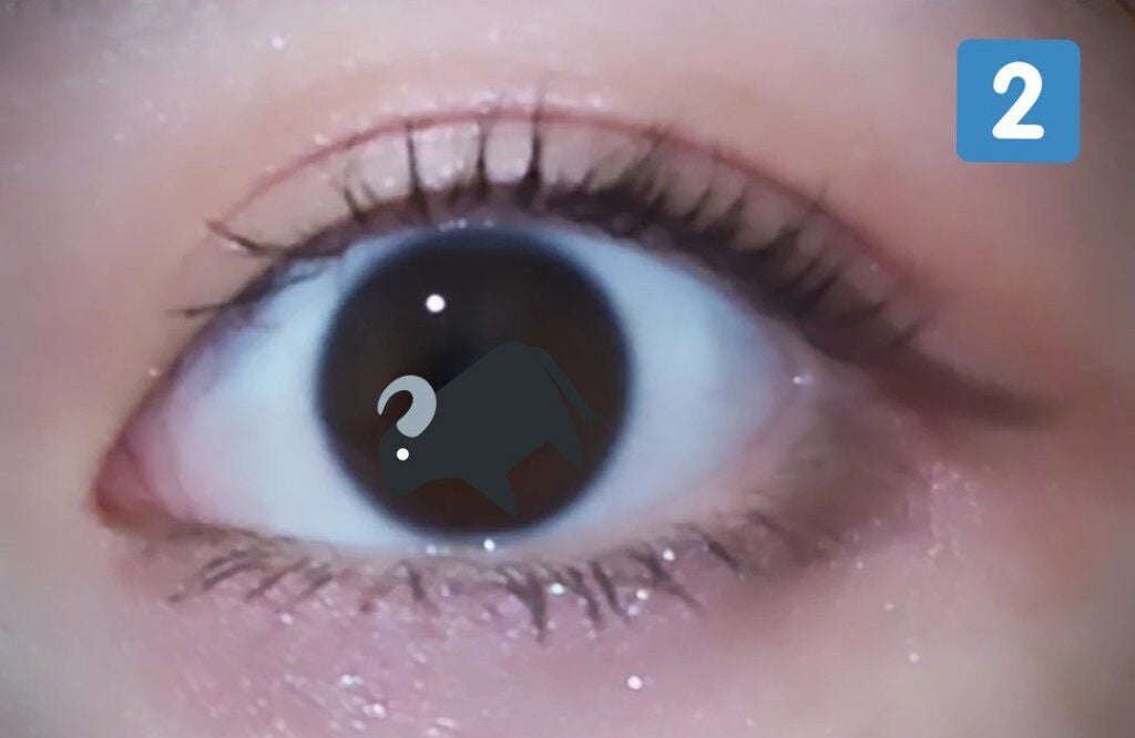 シルキースフレアイズ/キャンメイク/アイシャドウパレットを使ったクチコミ(5枚目)