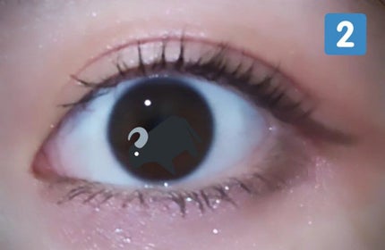 シルキースフレアイズ/キャンメイク/アイシャドウパレットを使ったクチコミ(5枚目)