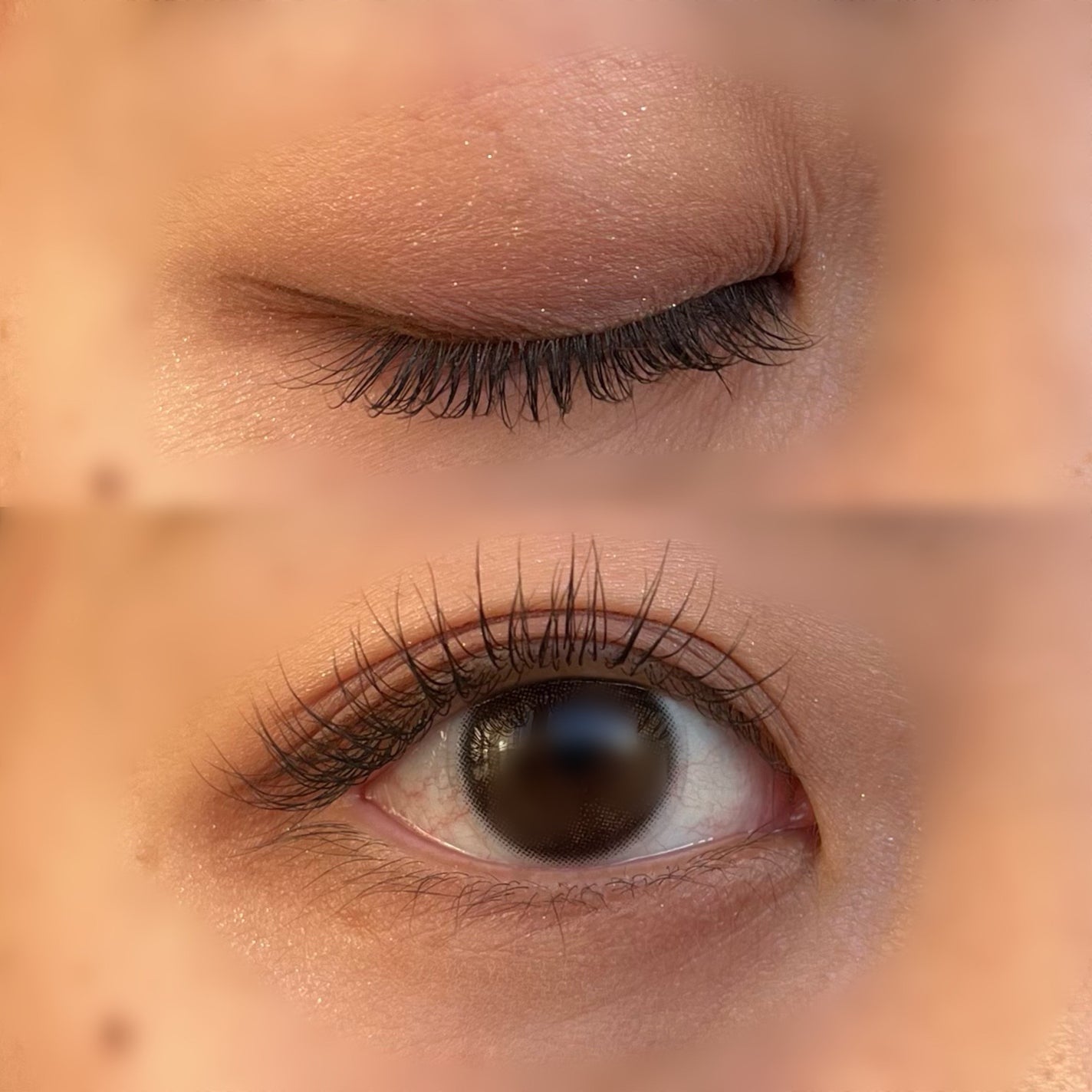 KEYBO FALL IN LOVE SHADOW PALETTE/keybo/アイシャドウパレットを使ったクチコミ(5枚目)