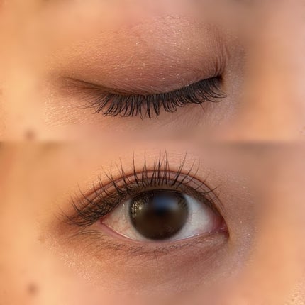 KEYBO FALL IN LOVE SHADOW PALETTE/keybo/アイシャドウパレットを使ったクチコミ(5枚目)