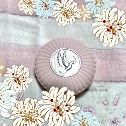 セッティング パウダー 01/PAUL & JOE BEAUTE/プレストパウダーを使ったクチコミ(1枚目)