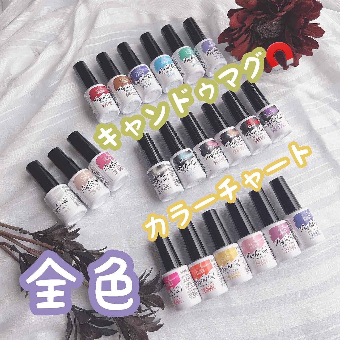 パルP マグアートジェル/parkikoi/ジェルネイルを使ったクチコミ（1枚目）