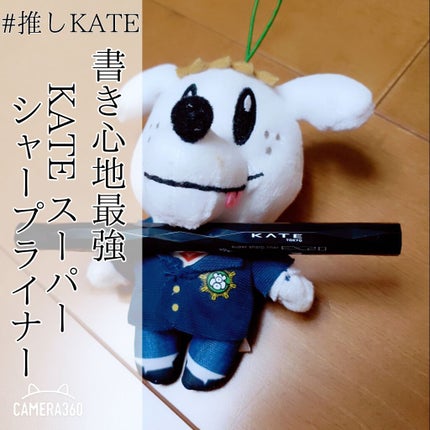 スーパーシャープライナーEX2.0/KATE/リキッドアイライナーを使ったクチコミ(1枚目)