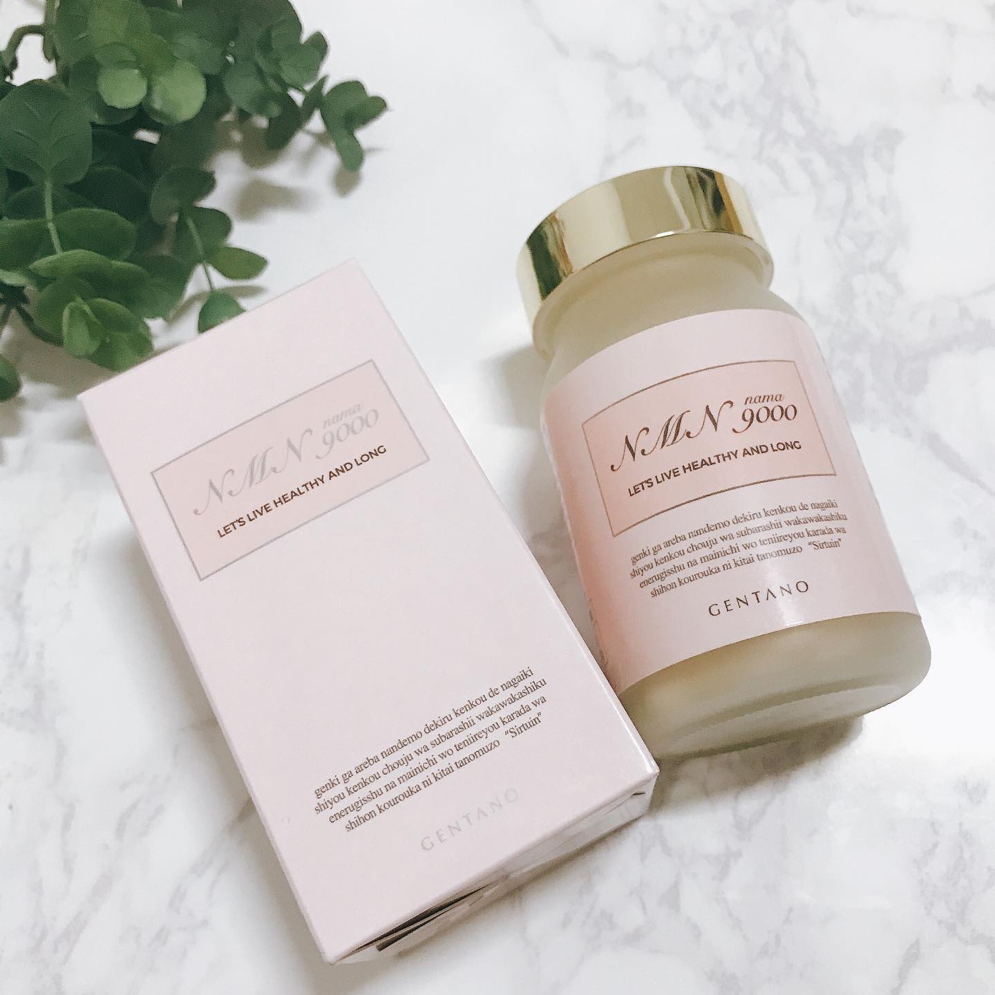 GENTANO NMN 9000/GENTANO/美容サプリメントを使ったクチコミ（1枚目）